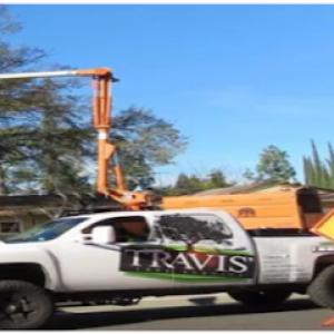 Travis Tree Service