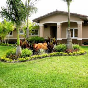 Romero's Tree Service