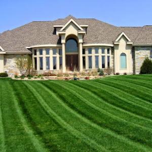 Bruce Landscaping & Maintenance