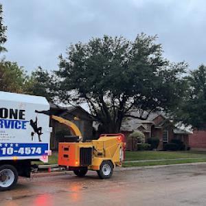 Best One Tree Service