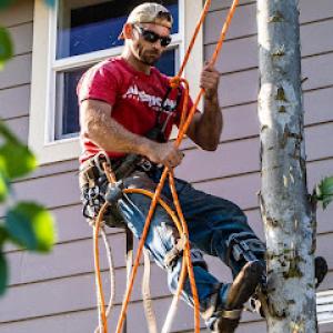 American Quality Tree Services