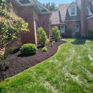 Gallagher Tree Service & Landscape Contracting