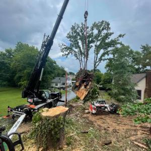 Tanner's Tree Service