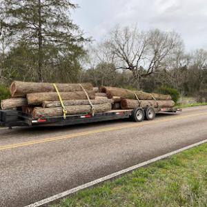 Top Kick Tree @ Land Services