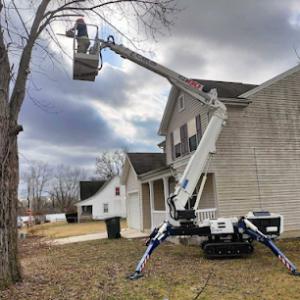 Pro Tree Trim & Removal