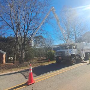 Foothills Tree Service