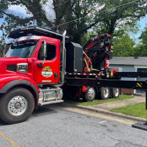 Stumps by Dan Tree service