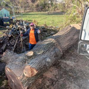 Meredith Tree Service