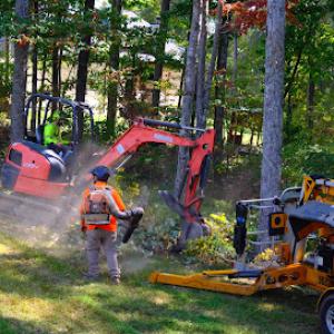 Top Down Tree Service