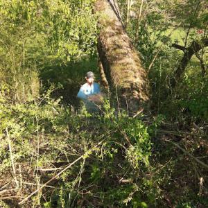 Edward's Family Services