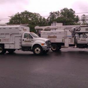Jacob's Professional Tree & Shrub Care