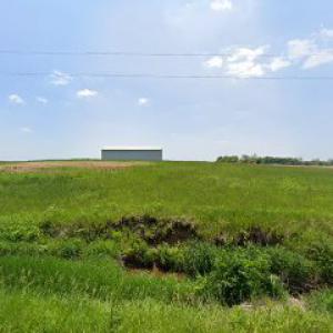 Bryce's Tree Service