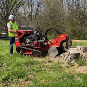 Absolute Stump Grinding