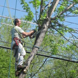 Green Shadow Tree Service