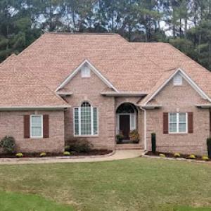 Blountsville landscaping & trees service