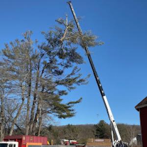 North Smithfield Tree Service