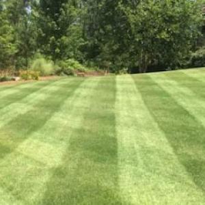 Chastain's Lawn, Tree, & Firewood.