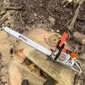 Pro Green Tree Service