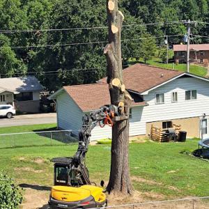Ron Raby Tree Service