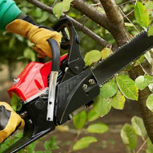 Danville Tree Care