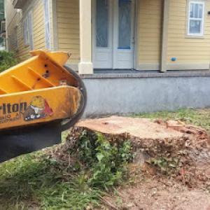 On Time Stumps & Outdoors