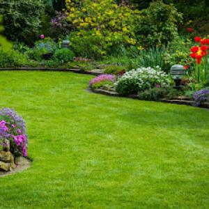 Luv-A-Lawn & Pest Control