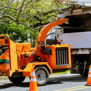 West Sacramento Tree Services