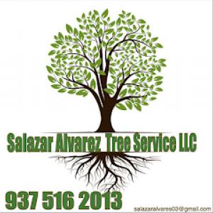 Salazar Alvarez Tree Service