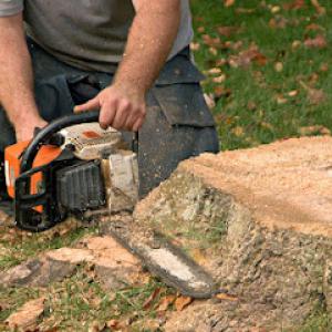 Brown County Tree Service