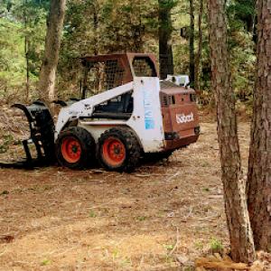 Cedar Creek Tree Service