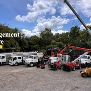 Branch Management Tree Care