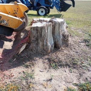 A+ Stump Grinding