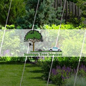 Santoyo tree services