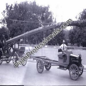 Palm Professionals Tropical Nursery #2