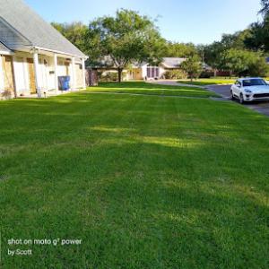 Parrot Lawn & Tree Service