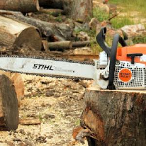 Circle City Tree Service