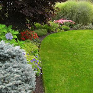 Piscataqua Landscaping & Tree Service