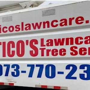 Ticos Tree Services & Removal