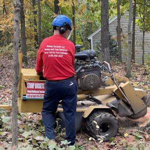 Stump Rockets Tree Service