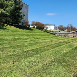 Lawn & Land Solutions