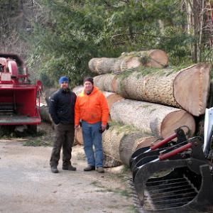 Delaware Valley Tree & Landscaping