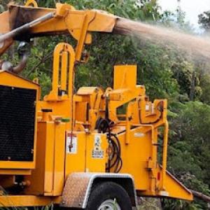 Lumberjacks Cutting Trees
