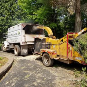 Bookers Tree Care