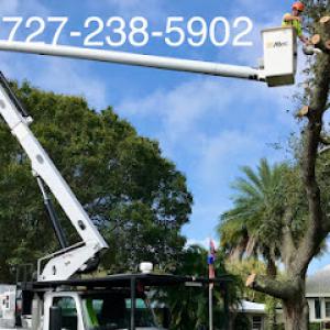 Tree Heroes of Florida
