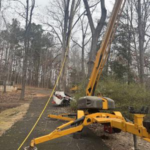 Andrew's Tree Service