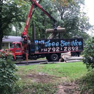 D&S Tree Service