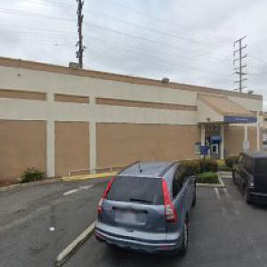 Tree Removal Rosemead