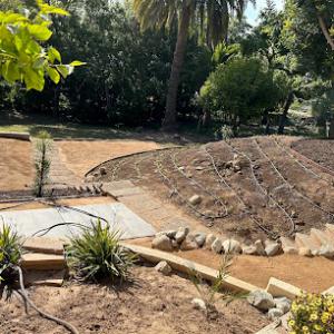 Julio's tree service & Lanscape