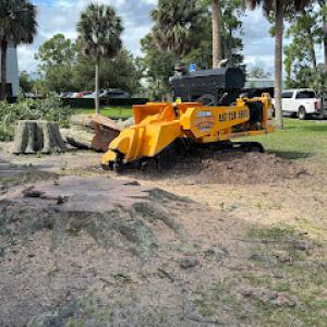 TTS Stump Grinding Services