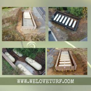 Evergreen Turf & Tree Care